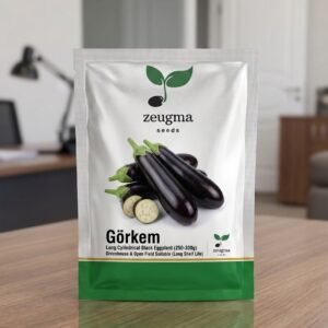 Dark Cylindrical Eggplant