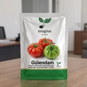 Heirloom Village Tomato