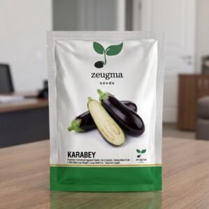 Black Cylindrical Eggplant