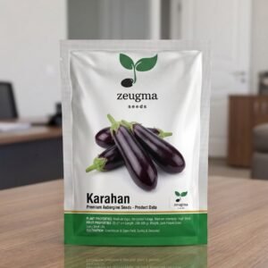 Dark Cylindrical Eggplant