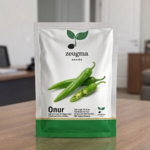 Green Pointed Pepper