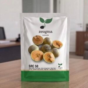Zeugma Charentais Melon seeds SRC 50