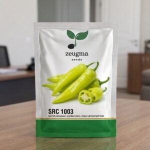 Sweet Light Green Pepper