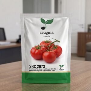 Green Piece Tomato