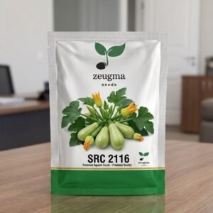 Mini Green Zucchini