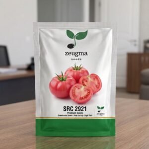 Red Industrial Tomato
