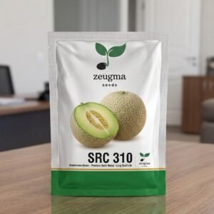 Green Greenhouse Galia Melon