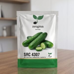 Fresh Beit Alpha Cucumber