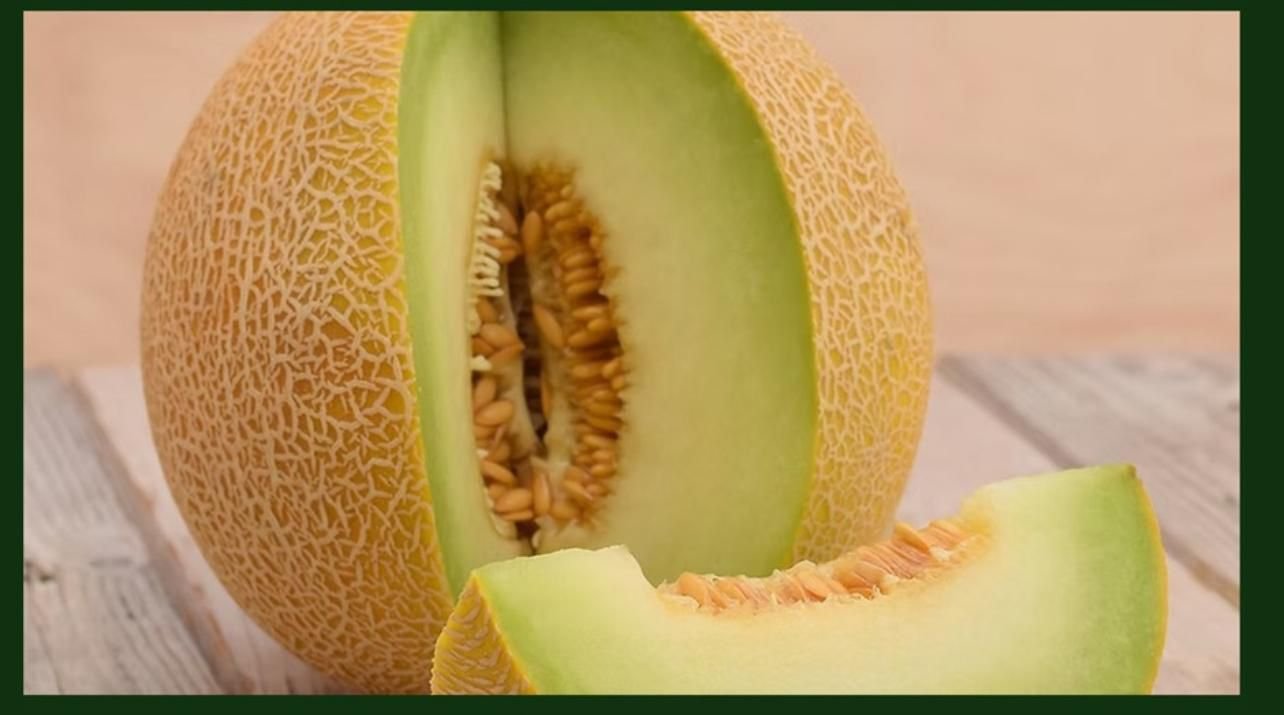 Zeugma Kirkagac Melon seeds SRC 71 - Image 4