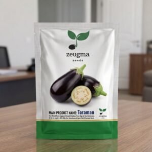 Zeugma Round Eggplant seeds Toraman