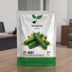 Green Mini Cucumber