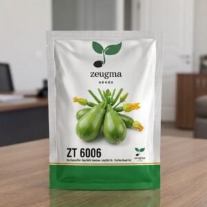 Green Mini Zucchini