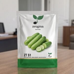 Fresh Spiny Cucumber Seeds